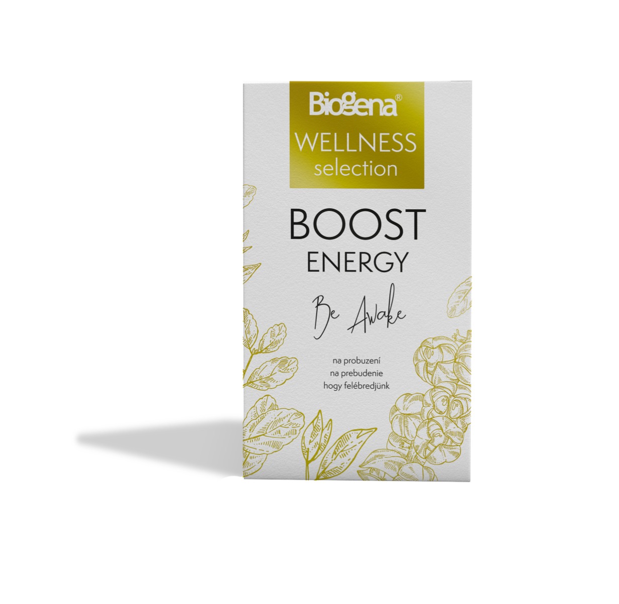 Biogena WELLNESS selection Boost energy porcovaný čaj 20x1