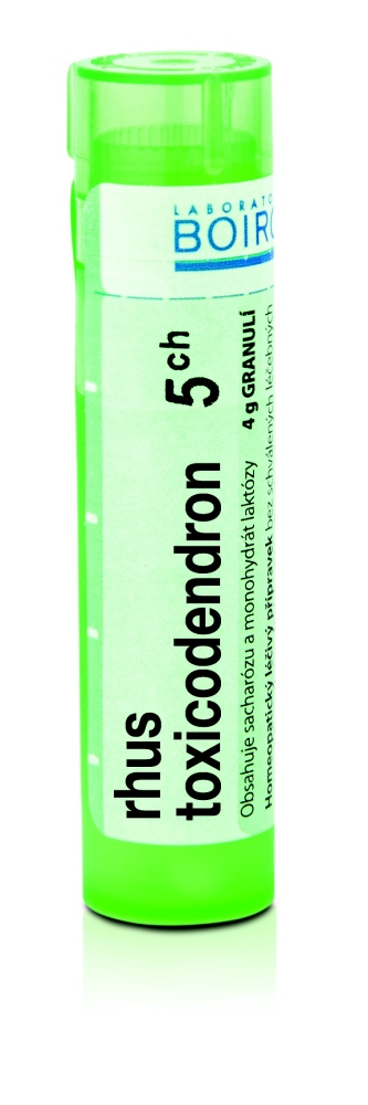 Boiron RHUS TOXICODENDRON CH5 granule 4 g Boiron