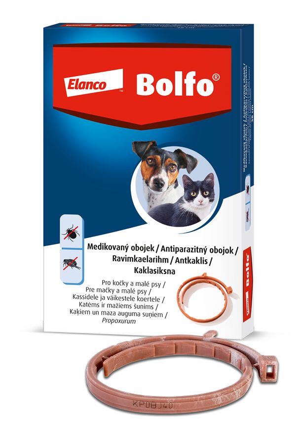 Bolfo 1