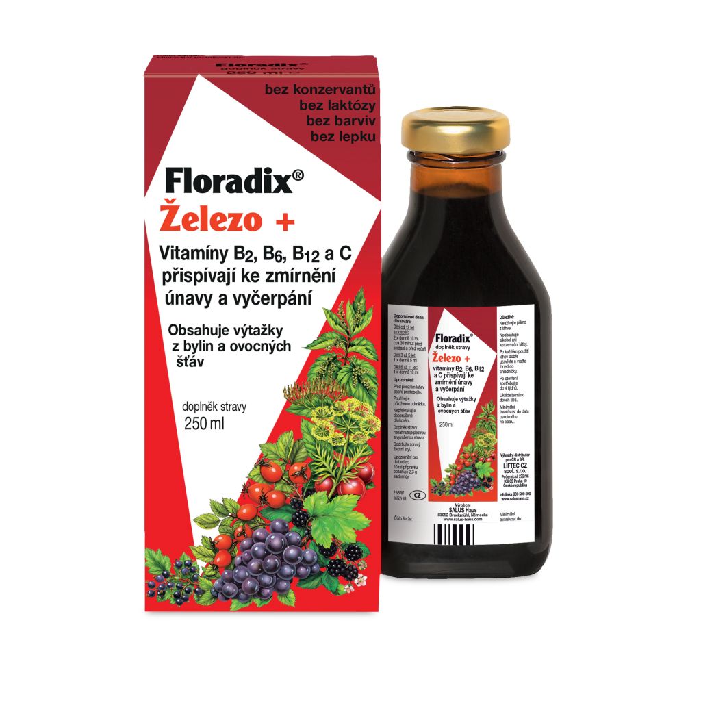 Salus Floradix Železo+ sirup 250 ml Salus