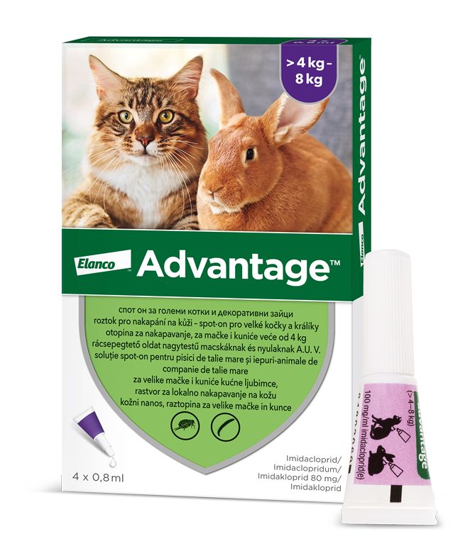 Advantage Spot-on pro velké kočky a králíky 80 mg 4x0