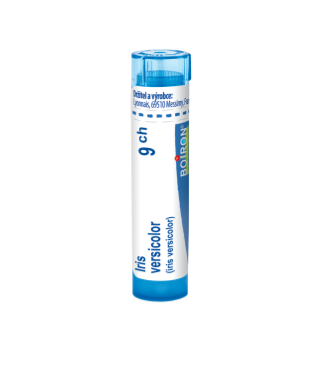 Boiron IRIS VERSICOLOR CH9 granule 4 g Boiron