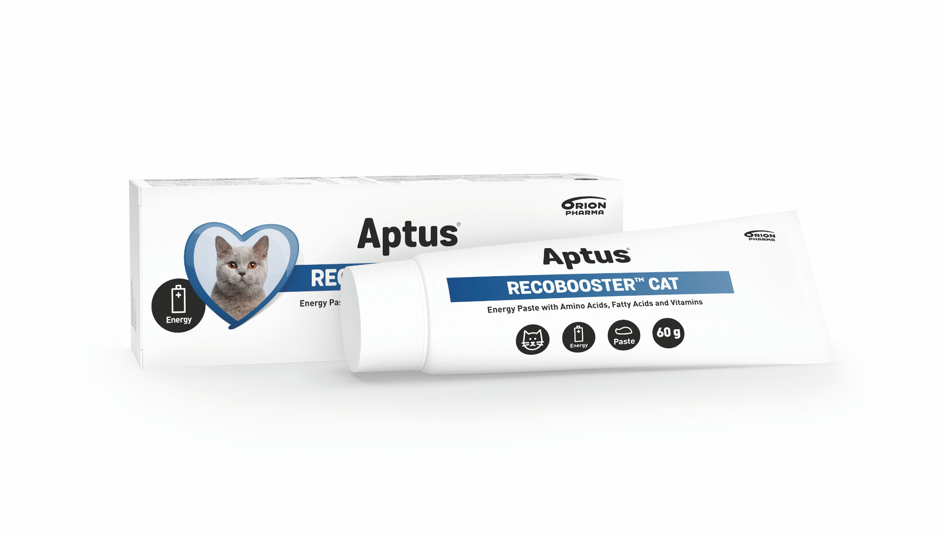 Aptus Recobooster Cat energetická pasta 60 g Aptus