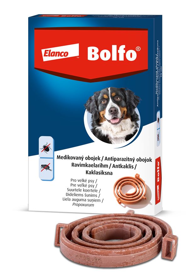 Bolfo 4