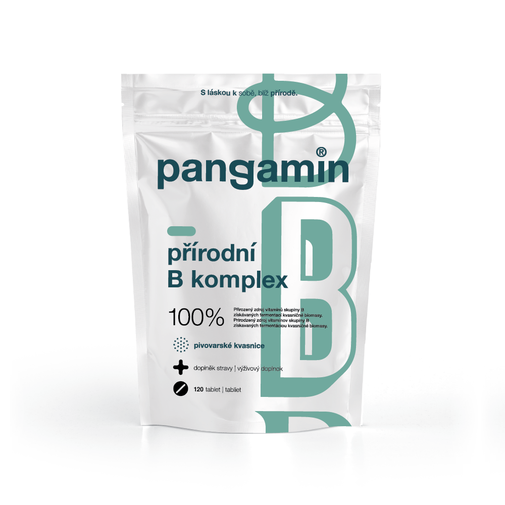 Pangamin přírodní B komplex 120 tablet Pangamin