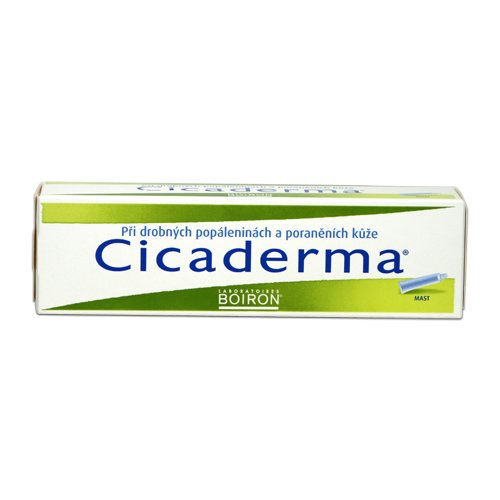 Boiron Cicaderma mast 30 g Boiron
