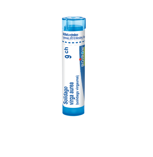Boiron SOLIDAGO VIRGA AUREA CH9 granule 4 g Boiron