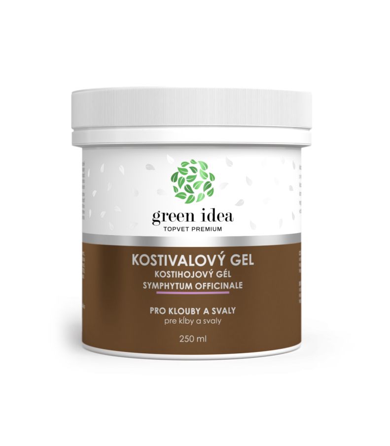 Green idea Kostivalový masážní gel 250 ml Green idea