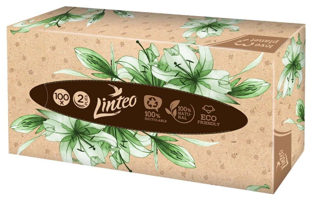 Linteo Papírové kapesníky 2-vrstvé box 100 ks Linteo