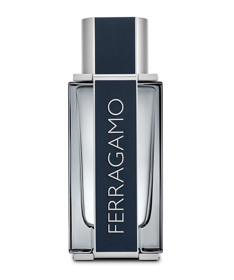 Salvatore Ferragamo Pour Homme Ferragamo toaletní voda pro muže 100 ml Salvatore Ferragamo