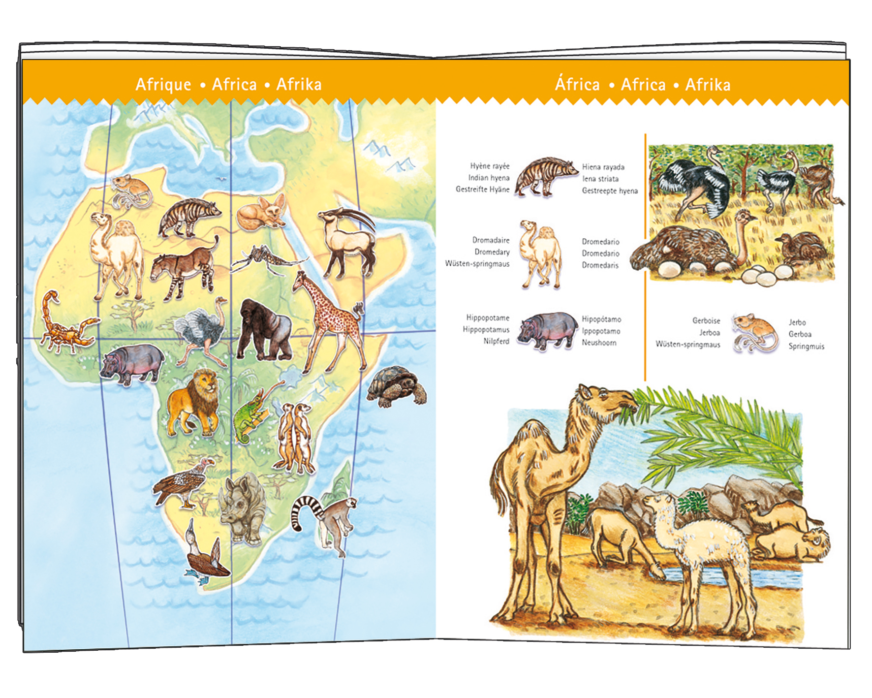 Djeco Obrázkové puzzle Světová zvířata - 100 pcs Djeco