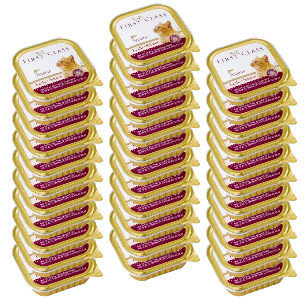 Akinu FIRST CLASS Losos paštika pro kočky 34 x 100 g Akinu