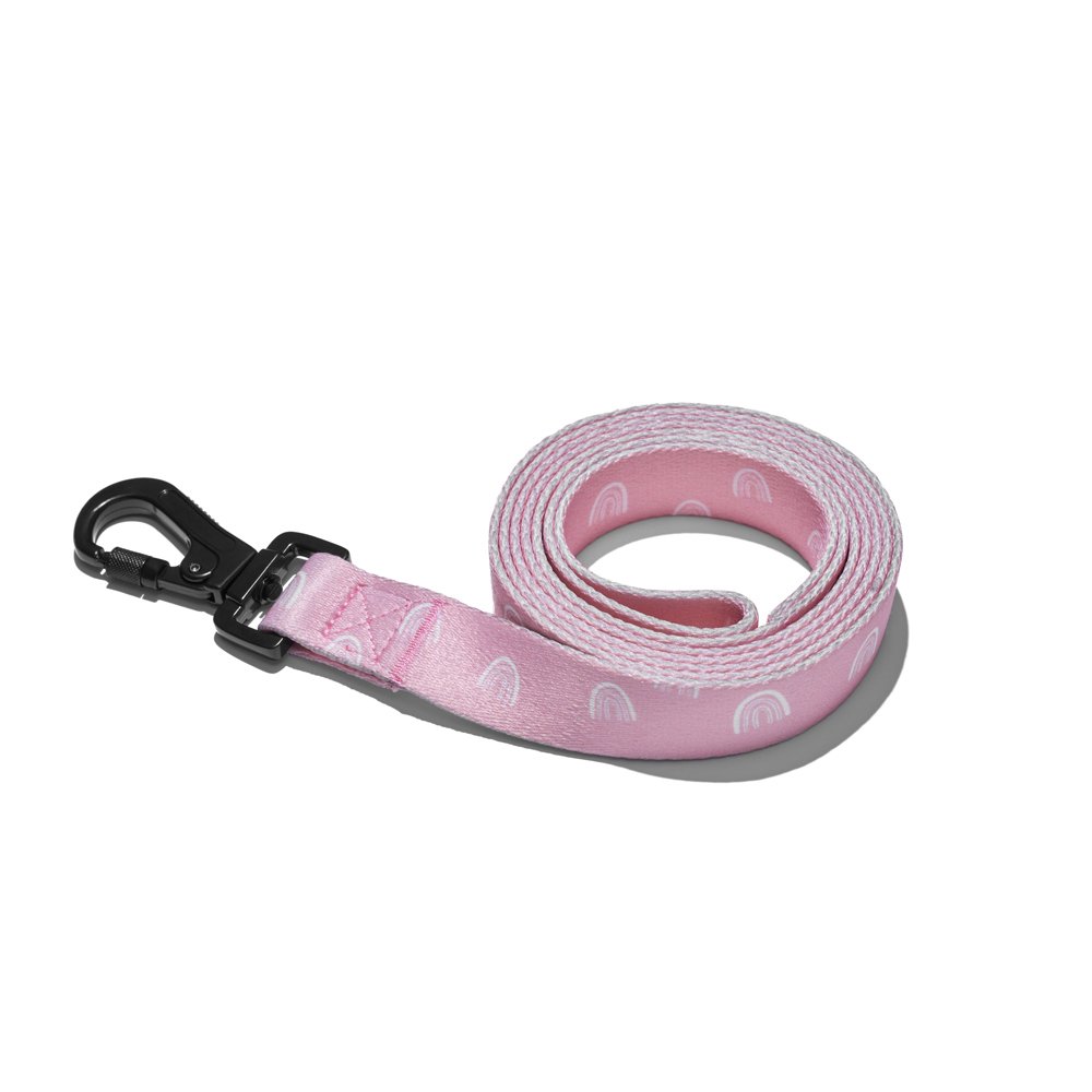 Explorer dog Vodítko Duha L - 170x2