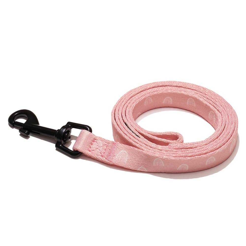 Explorer dog Vodítko Duha S - 120x1