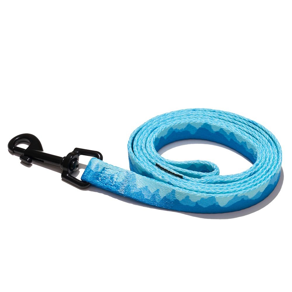 Explorer dog Vodítko Hory S - 120x1