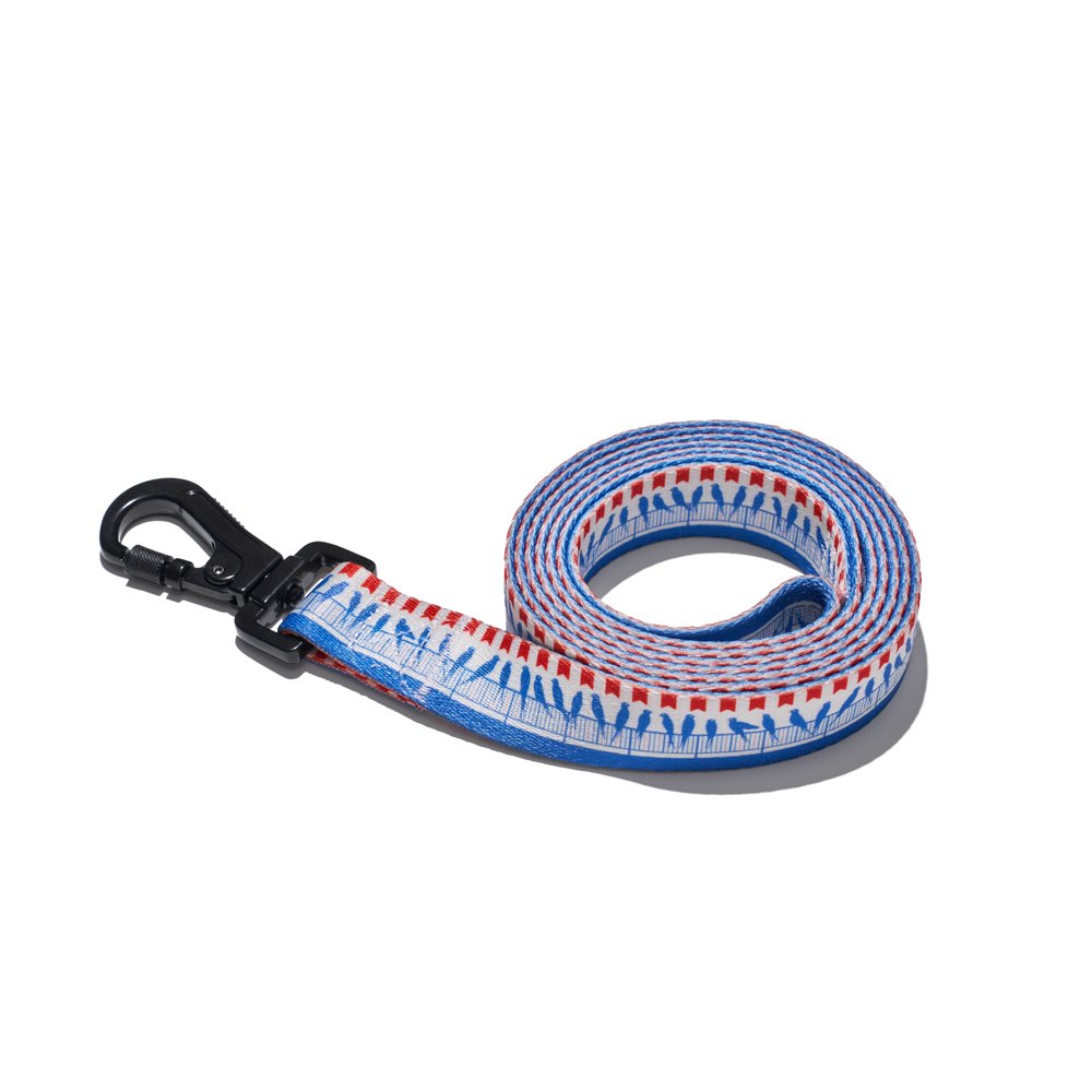 Explorer dog Vodítko Ptáci L - 170x2