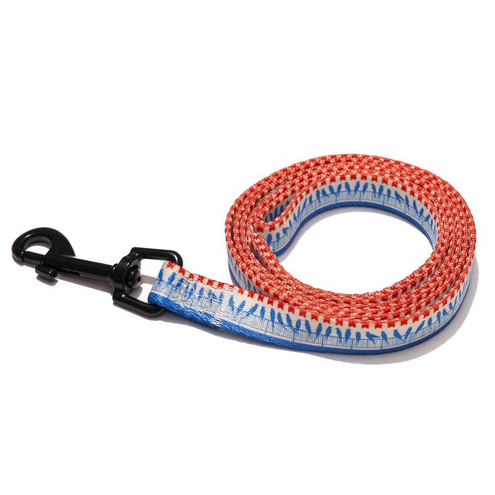 Explorer dog Vodítko Ptáci S - 120x1