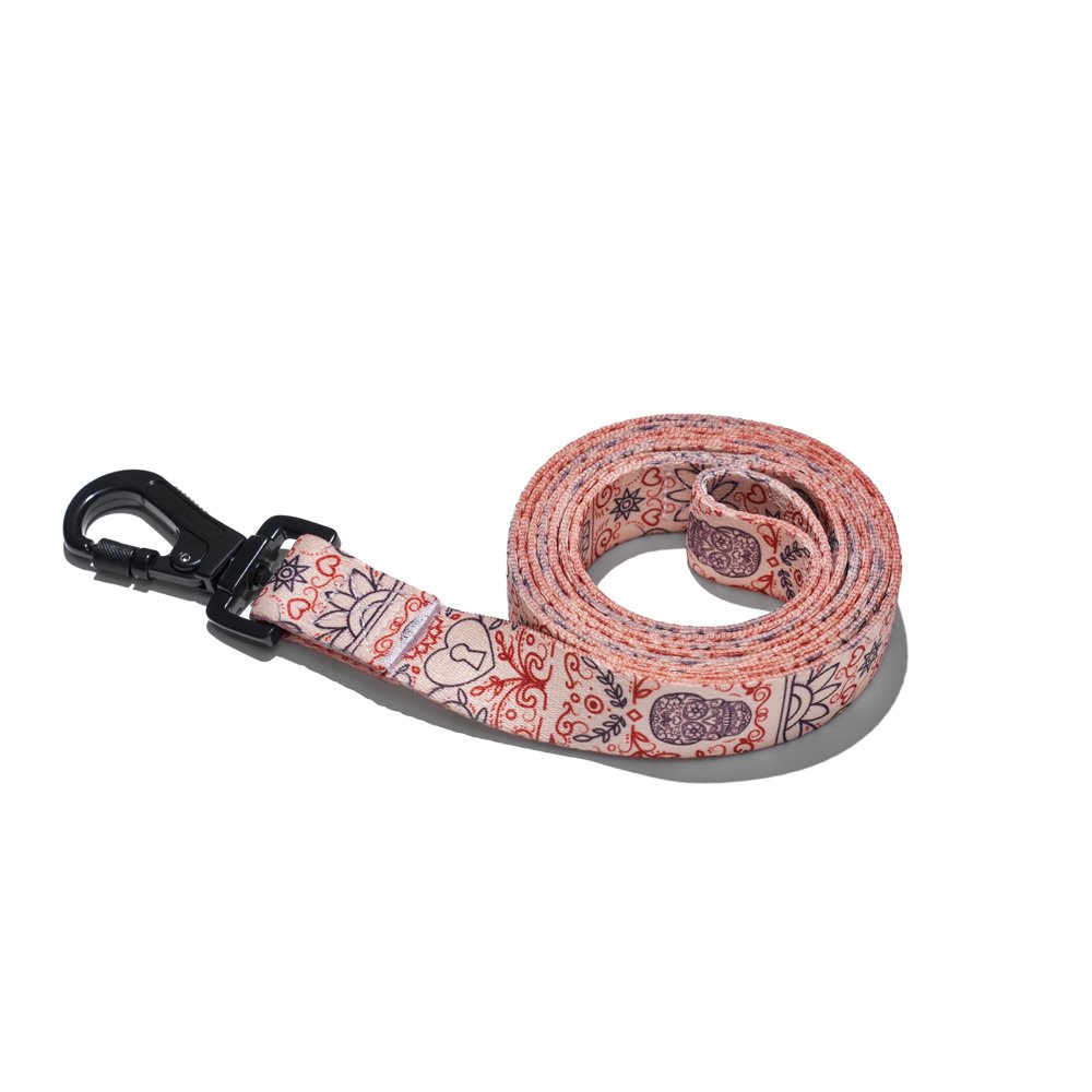 Explorer dog Vodítko Srdce L - 170x2